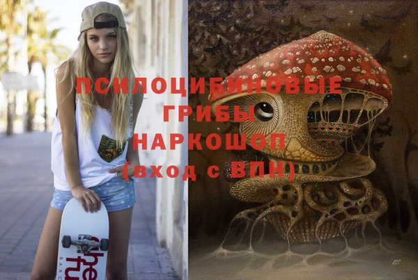 альфа пвп Куйбышев